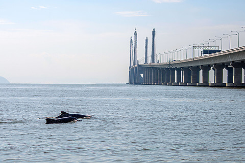 Teknologi dan Alam Sekitar