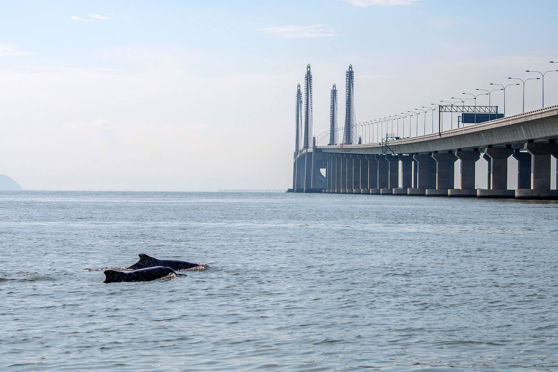 technology environmen